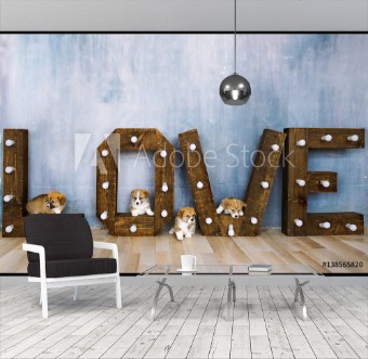 Picture of Lovely puppies in studio against the background of the word love Holiday of spring March 8
